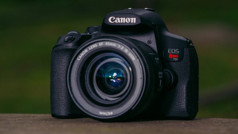Обзор Canon EOS Rebel T8i
