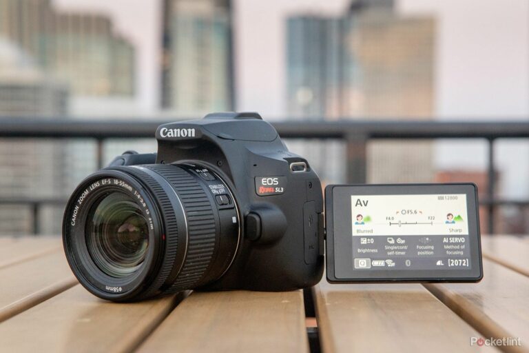 Обзор Canon EOS 250D (Rebel SL3)