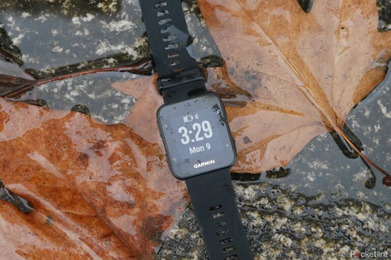 Обзор Garmin Forerunner 35: доступные и эффективные часы для бега