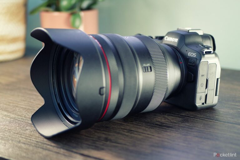 Обзор Canon EOS R6 Mark II: мастер на все руки