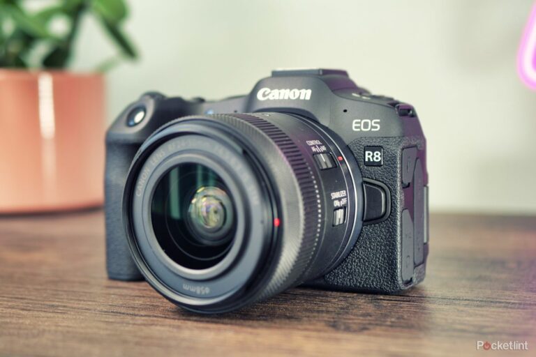 Обзор Canon EOS R8: превосходство над своим весом